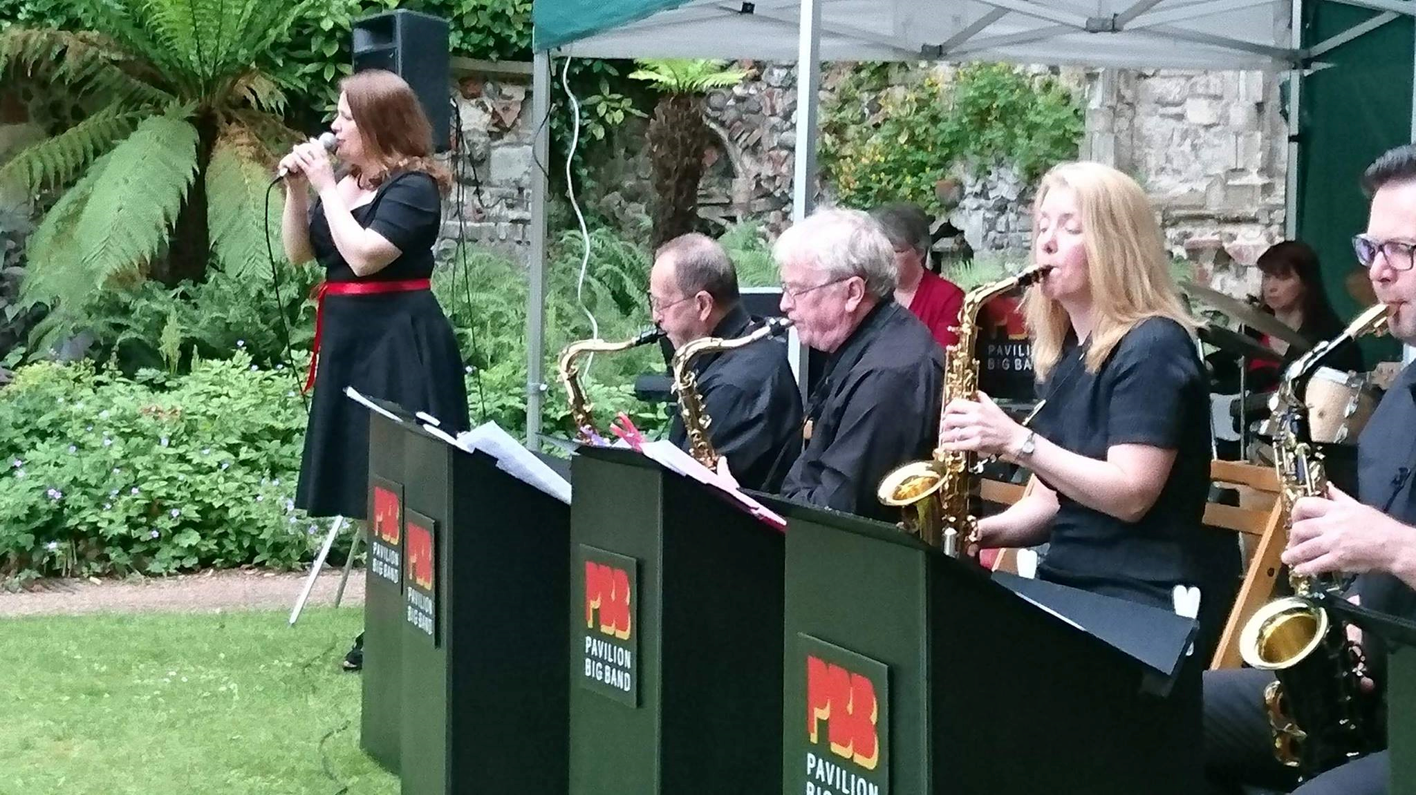 Performing at the Plantation Gardens, Norwich in 2017